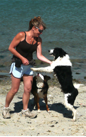 Dog walking