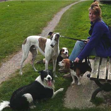 Dog behaviour.... Step 1 Problems