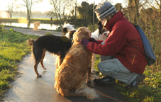 Pet sitting